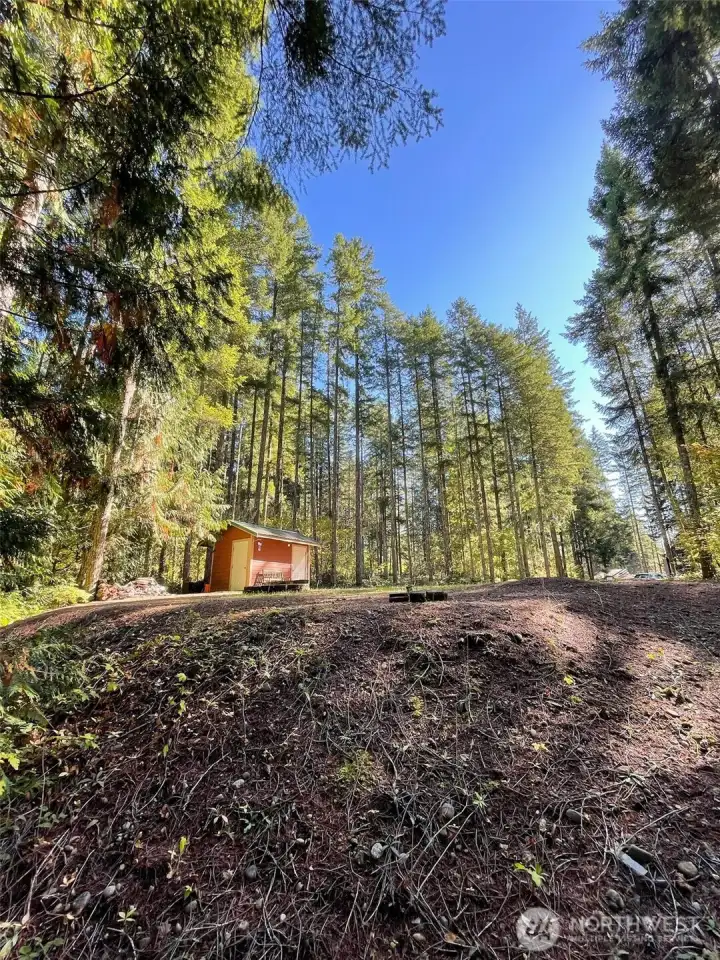 Lots of light coming into Lot.