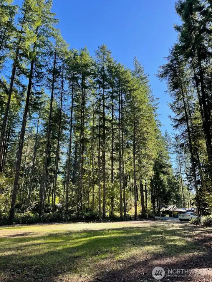 Relax and unwind in this peaceful setting.