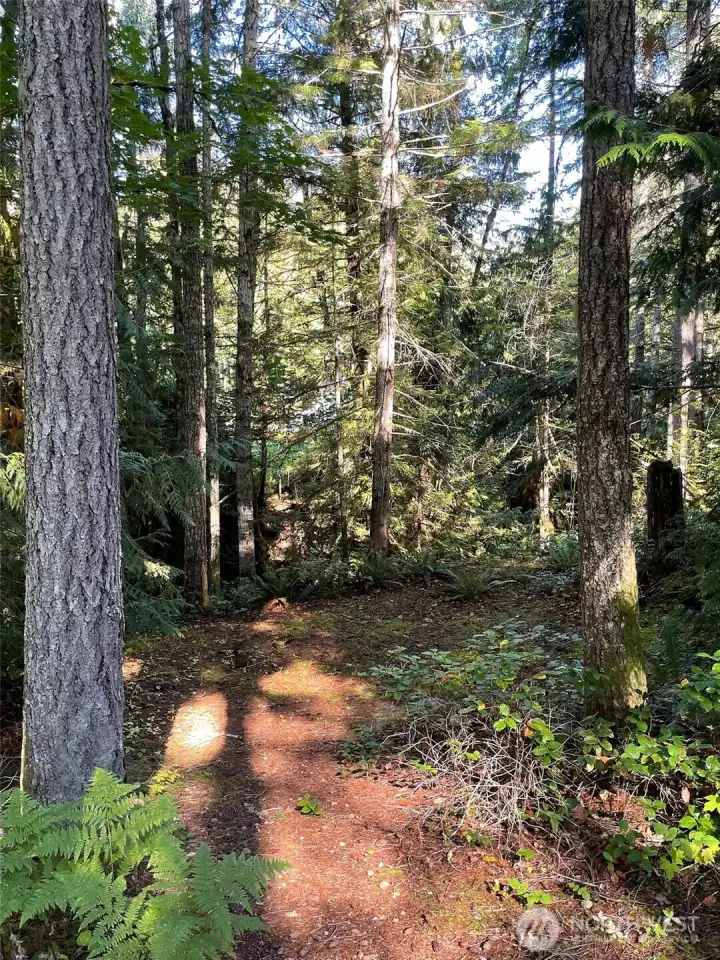 Walk down to a terrance to listen to the creek.