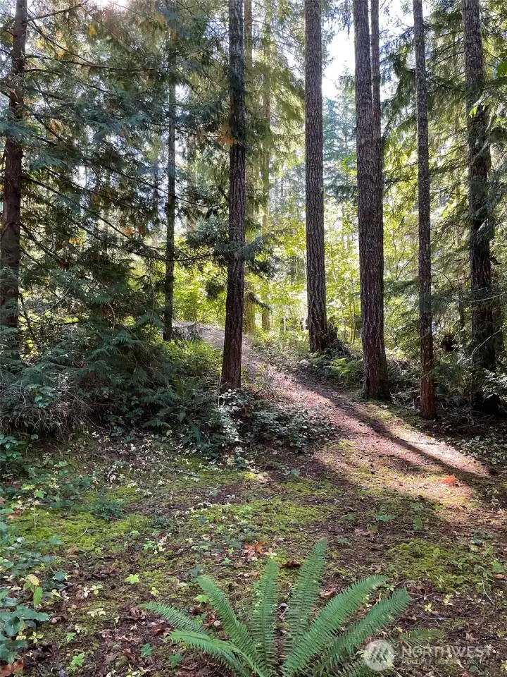 Cozy secluded feeling