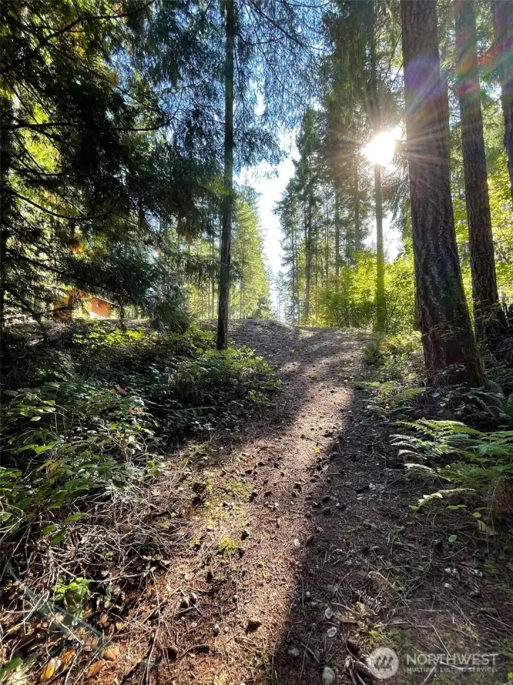 Beautiful sun exposure.