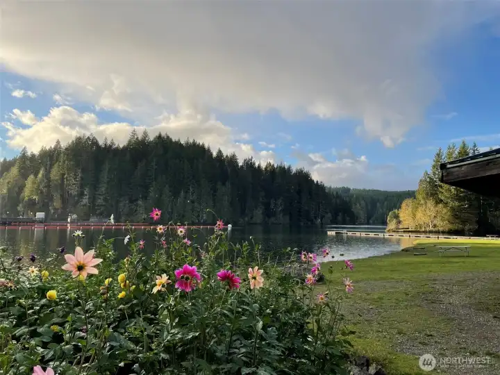 Lake Kokanee park pic