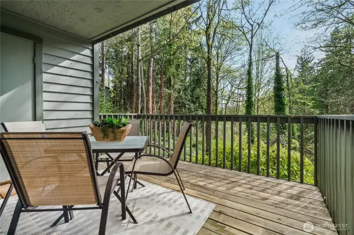 Outdoor Patio w/ gorgeous greenbelt backdrop