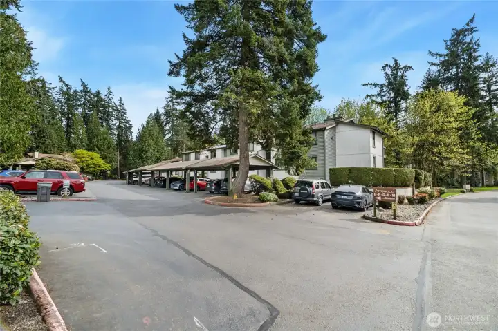 Parking lot w/lots of space for residents and guests