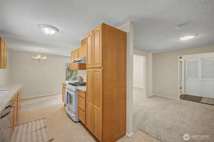 Nice pantry area in kitchen