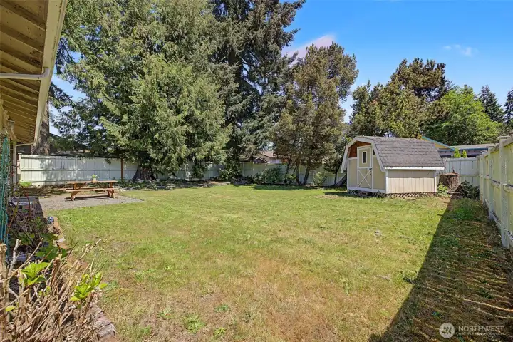 Another look at the massive backyard