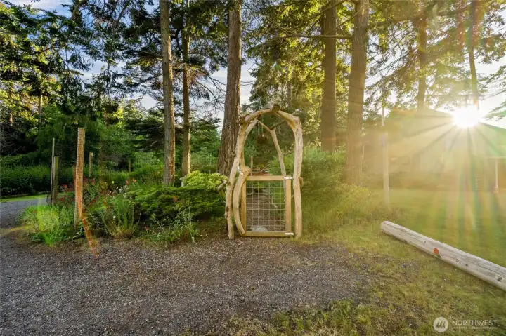 Driftwood gate to meditation shade garden
