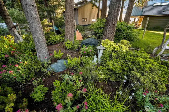 Meditative shade garden