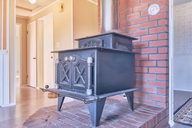 Unit 2 fireplace