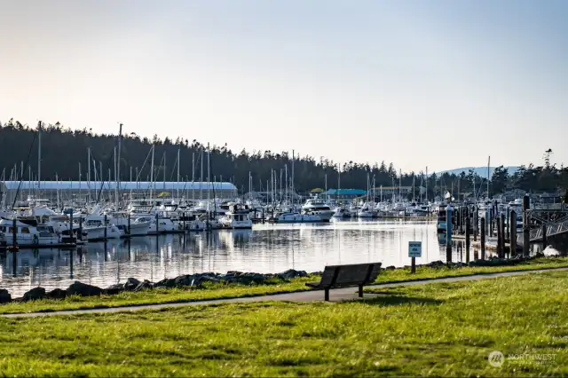 Skyline Marina