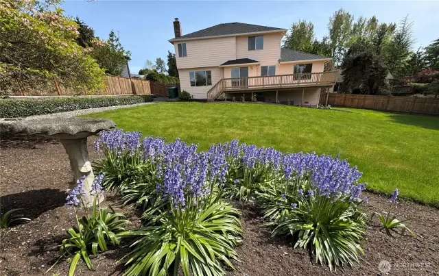 Huge fenced, lovely level back yard.