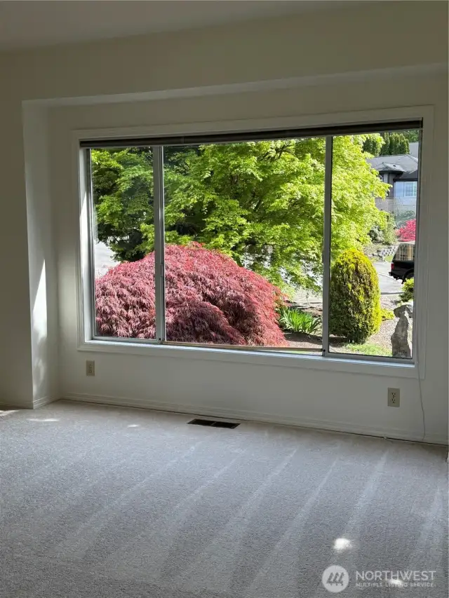 Light bright views from every window.