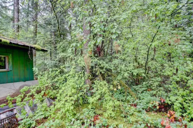 Enjoy your natural landscape in Deming, Wa