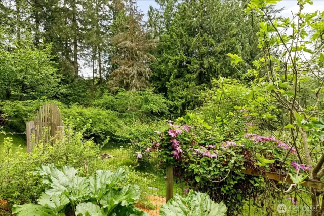 Fully fenced garden area houses loads of fruit trees and berries!