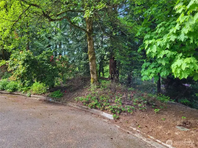 Lot 23 street frontage on private culdesac across from St Edwards Park
