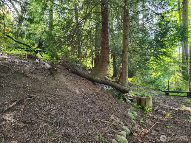 Building site for Lot 23