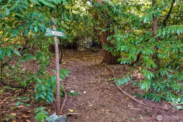 The backyard was inspired by the owners love for nature and hiking.  Stressed out from the day? Just go for a walk into the woods in your backyard and ...