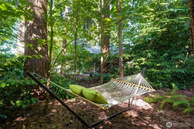 Forest Bathing is a real thing. orest bathing, also known as shinrin-yoku, is a Japanese practice that involves immersing oneself in the atmosphere of  forest or natural environment to promote well-being. It's not about physical bathing, but rather engaging all five senses to connect with nature and experience its calming and restorative effects.