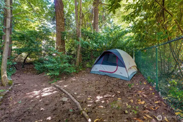 Want to get out of town to do a little camping but don't have time?  You can setup camp in your own backyard and wait for stargazing.