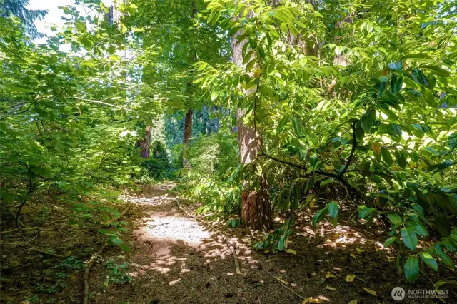 Follow the sun lit trail.  This backyard is self sustaining.  You don't have to water here, just enjoy.