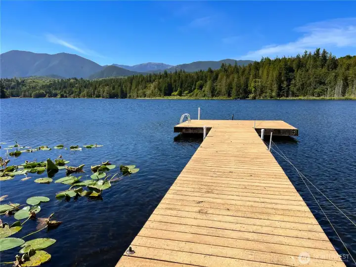 Did I mention this huge dock???