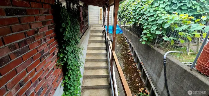 Stairs to the daylight basement area