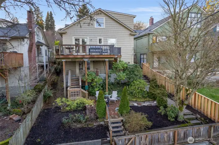 Backyard with mature plantings and beautiful Maple.
