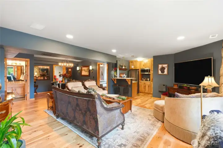 lower level family room