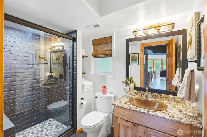 lower level bathroom