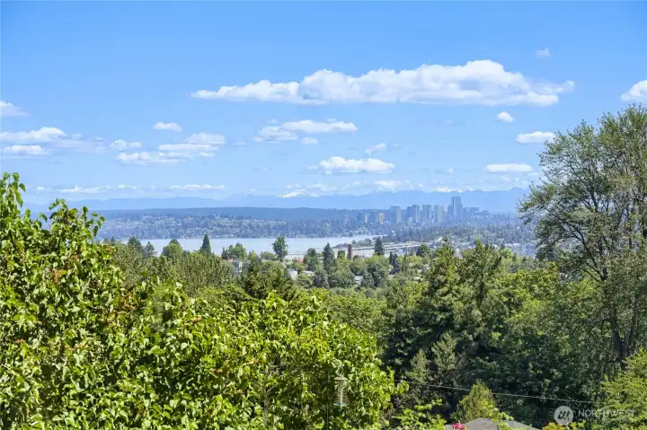 From kitchen and parts of living room on a nice day, you'll see peeks of Bellevue From kitchen and parts of living room on a nice day, you'll see peeks of Bellevue