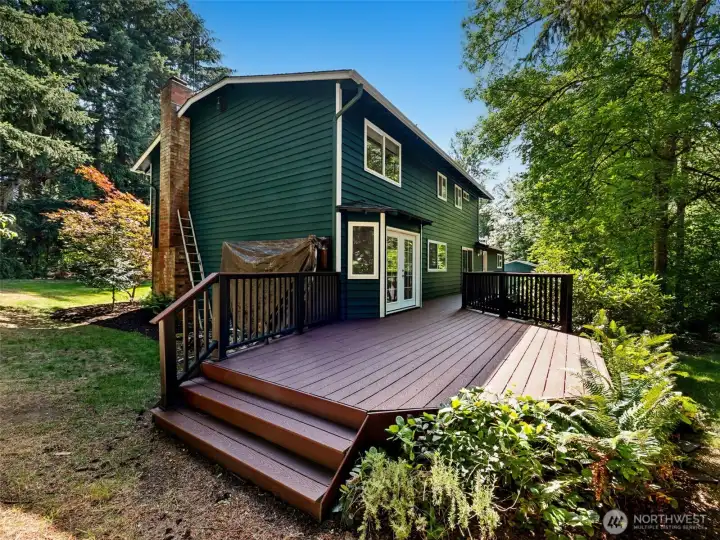 This is one side of the ginormous back trek deck. Lots of space for entertaining.