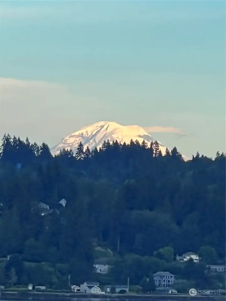 Mt. Rainer, view! Mt. Rainer, view!
