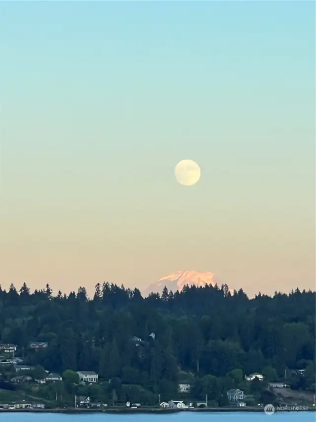 Olympic Mountains.