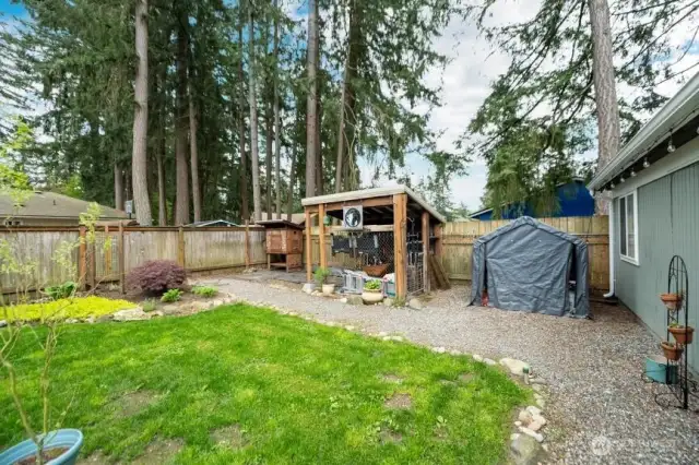 Did some one want chickens? Or more added storage!