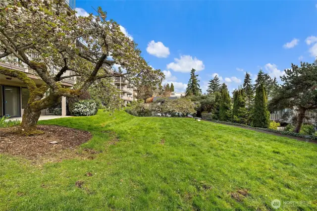 Courtyard leading to the pool.