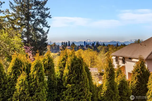 Mountain views from multiple rooms