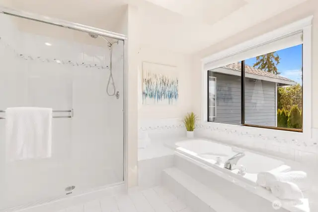 Huge soaking tub with mountain view window