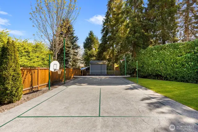 Your own court and basketball hoops