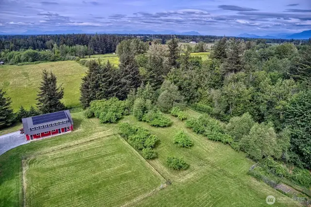 The old apple orchard offers an abundance of apples in the fall.