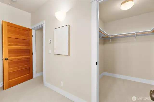 The primary bedroom features a spacious walk-in closet, offering ample storage.