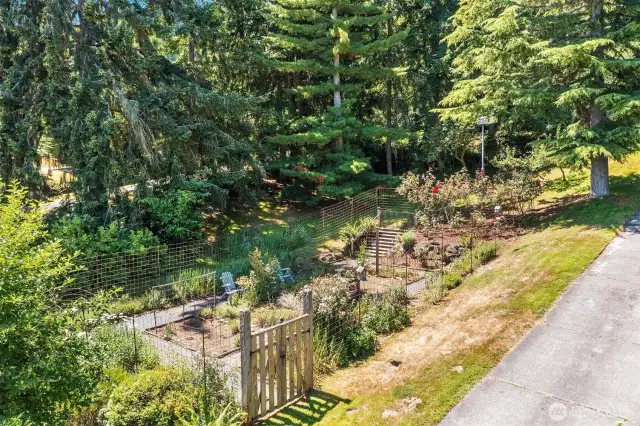 Fenced vegatable garden
