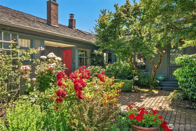 Central courtyard garden