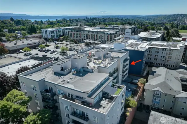 Mount Rainier in the distance, can be seen from the rooftop deck. Easy walk to Walgreens, Amazon Fresh and the bakery. And after the bakery... the gym!