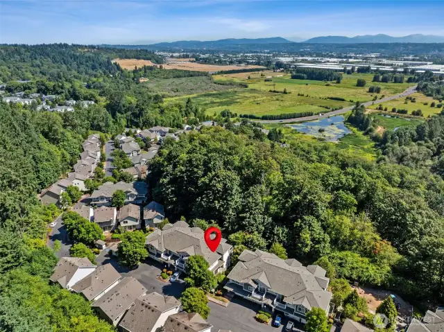 Fantastic siting for this community, tucked in the middle of a mini forest, for beauty, peace & quiet!