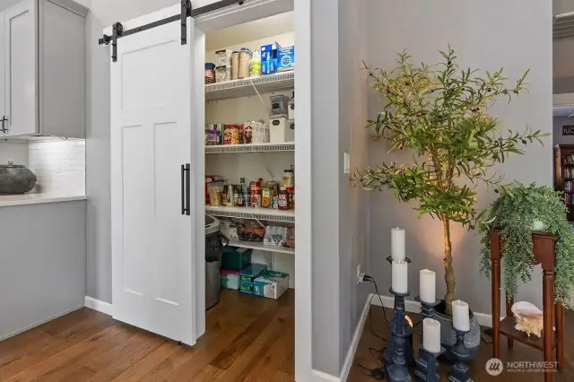 Walk in Pantry