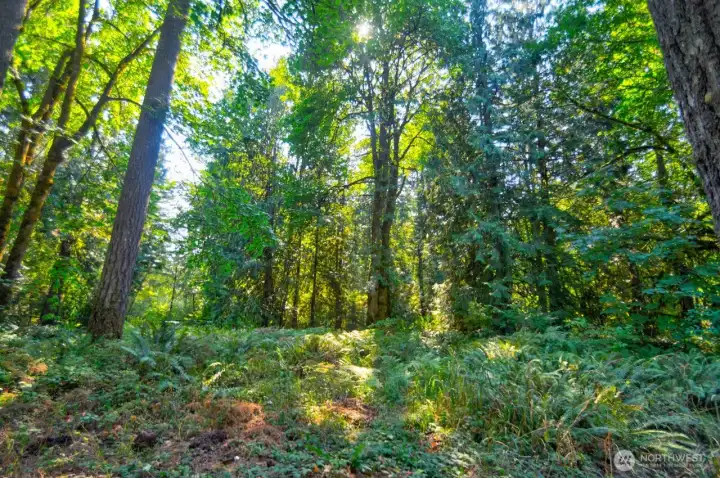 Surrounded by nature.