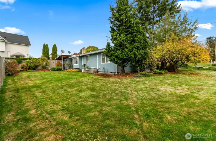 Additional Angle of the Back Yard