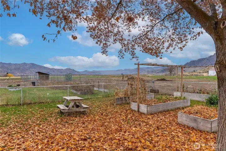 Fully fenced yard & garden area