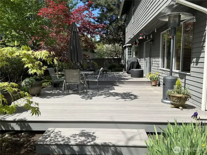 This is a picture of the backyard during the summer