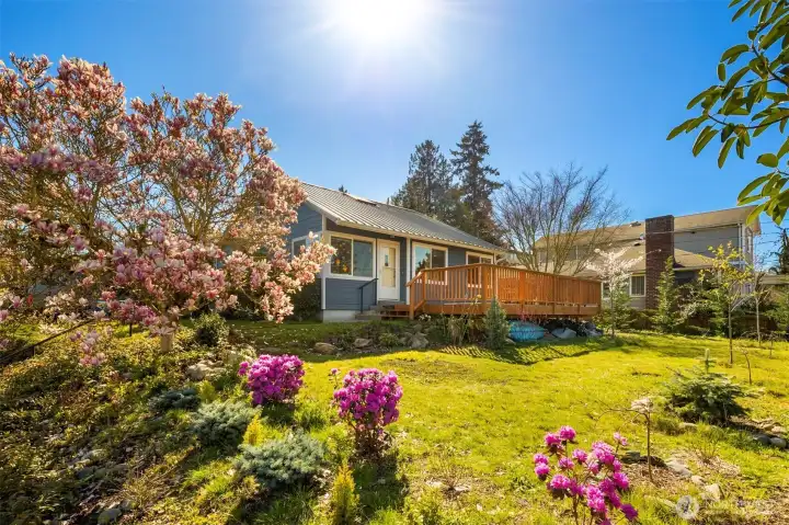 Welcome home to this 1944 charmer on a beautiful corner lot with gorgeous flowering trees.